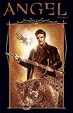 Angel: After The Fall Vol.5