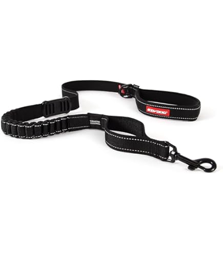 Amazon.com : EzyDog Road Runner Hands Free Dog Leash – Waist