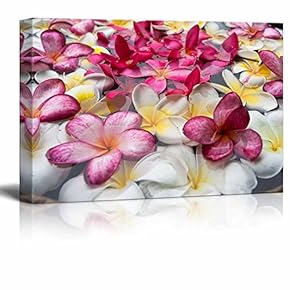Canvas Prints Wall Art - Multicolored Plumerias Floating in The Water | Modern Wall Decor/Home Decoration Stretched Gallery Canvas Wrap Giclee Print. Ready to Hang - 12" x 18"