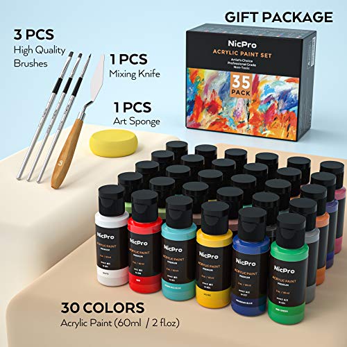Nicpro 30 Colors Bulk Acrylic Paint Set/Bottle (2 oz, 60ml) with 3