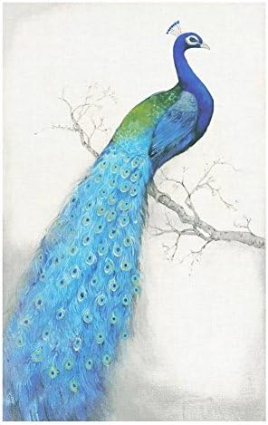 Fuerton 5D Diamond Embroidery Painting DIY Peacock Stitch Craft Kit Cross Home Decor Wall Sticker (60cm x 92cm, A)
