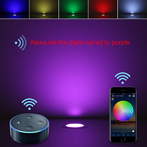 FVTLED 10pcs Wifi Controller Low Voltage LED Deck Lights Kit Work with Alexa Google Home Wifi Wireless Smart Phone LED Step Inground Lights