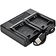 BTBAI Battery Charger DC USB Dual for DB-60 DB60 DB-65 DB65 G600 G700 G700se GR Digital II GR Digital III GR Digital IV GX200 Digital Camera s1a