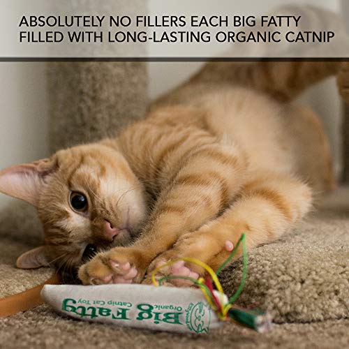 KittyWeed’s Big Fatty Catnip Cat Toy One of the Most Potent Catnip Toys on the Market
