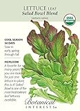Salad Bowl Blend Leaf Lettuce Seeds - 1.5 g - Organic