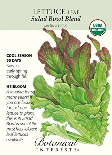Salad Bowl Blend Leaf Lettuce Seeds - 1.5 g - Organic Salad Bowl Blend Leaf Lettuce Seeds - 1.5 g - Organic