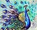 WestPole Full Drill 5D Diamond Painting, DIY Craft, Create Beautiful Gifts or Hang on Your Wall. Colorful and Sparkling Image. Finished Size is Around 12 x 16 in (30 x 40 cm)