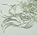100 Beads Silver-Plated Brass, 38x2mm Curved Tube Spacer Metal Bead Pkg of 100