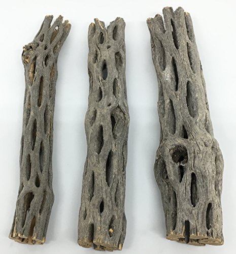 Buy Awesome Aquatics Natural Cholla Choya Wood 3 Pieces 6 For Shrimp Habitat And Food Treat Hermit Crabs Plecos Aquarium Decoration Lowers Ph Hideouts And Chew Toys Reptiles Thorn Free Dried Organic Online
