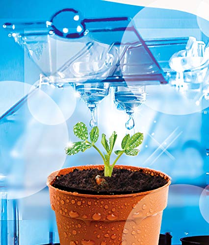 Clementoni Galileo Lab – Experimentieren im Gewächshaus, Pflanzkasten & Samen für Mini-Gärtner und angehende Botaniker, Spielzeug für Kinder ab 7 Jahren von Clementoni 59081 – Bild 6