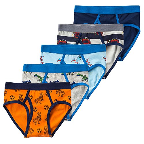 Buy B.GKAKA Little Boys 5Pack Briefs Dinosaur Truck Kids Underwear