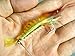 3X 10cm 6g Soft Shrimp Prawn Worm Bait Lure Saltwater Squid Night Glow Fishing Rigs Glow Bead by thkfish