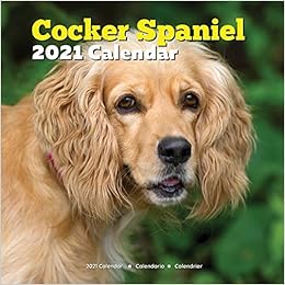 cocker spaniel gifts amazon