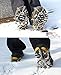 EONPOW 12 Teeth Claws Crampons Non-slip Shoes Cover Stainless Steel Chain Outdoor Ski Ice Snow Hiking Climbing