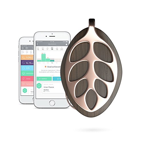 Bellabeat Leaf Nature Smart Jewelry Health Tracker