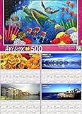 Sea Turtles by Roland Richardson - Art Box - 500