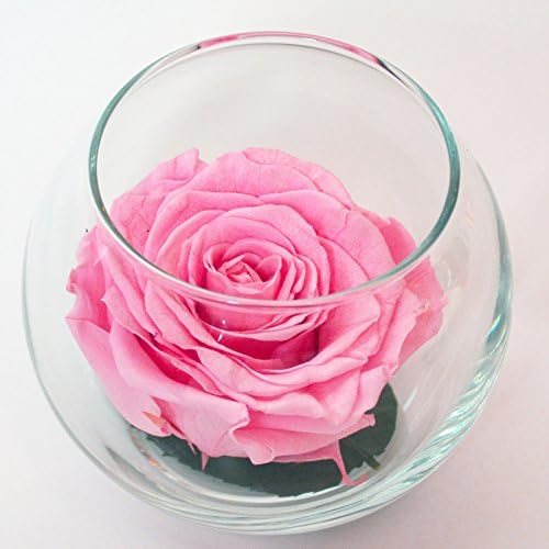 Luxe Bloom Single Lasting Luxury Rose - Rosa