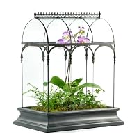 H Potter Large Glass Terrarium Succulent Planter Wardian Case Container for Plants