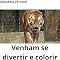 Livro livro de colorir: Venham se divertir nesse livro