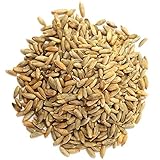 Organic Rye Berries, 20 Pounds