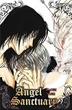 Image de Angel Sanctuary T9 (NED)