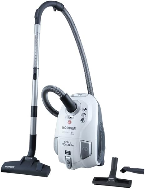 MisterVac compatibile con sacchetti per aspirapolvere sacchetti di ricambio 10 pezzi Hoover BV71_BV10 011 Brave