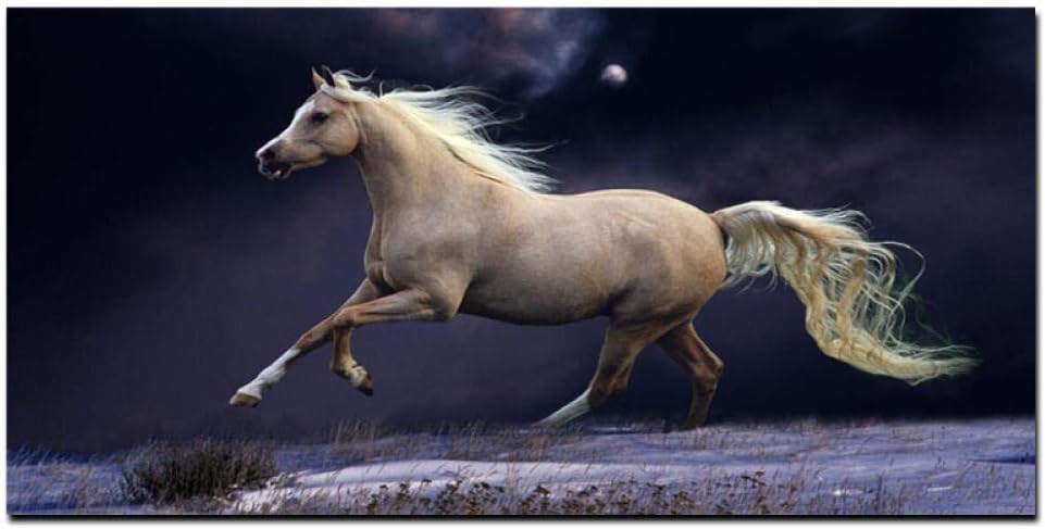 puzzles for autistic adults