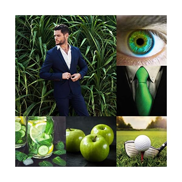 Perfumers-Choice-Homme-Victor-83ml-EDP-Spray Perfumer's Choice No 9 by Victor - Fragrance for Men - 83ml Eau de Parfum, by Milton-Lloyd