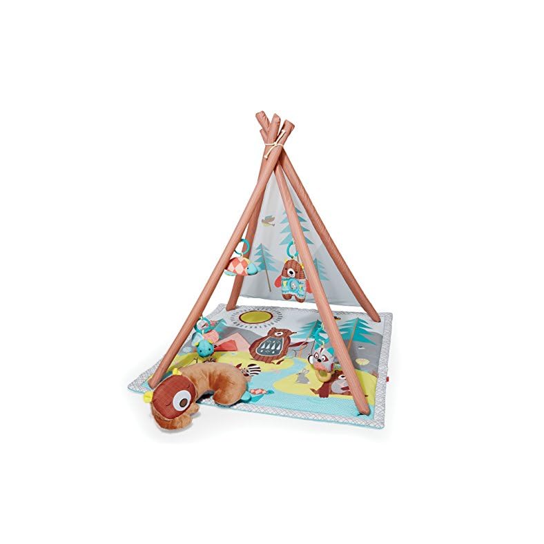 Skip Hop Baby Play Gym, Camping Cubs, Green