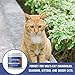 Buddy & Lola L Lysine for Cats – Immune Support for Cats – Made in The USA – Natural Ingredients – Tasty and Healthy – Cat Decongestant, Allergies, Infection and Cold Relief