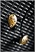 Fender FXA7 Professional In-Ear Headphone Monitors for live performance, studio, or high-definition casual listening - Gold