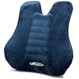 Aylio Memory Foam Lumbar Support Back Cushion