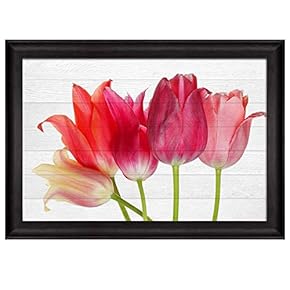 Pink and Coral Flowers Over White Wooden Panels...