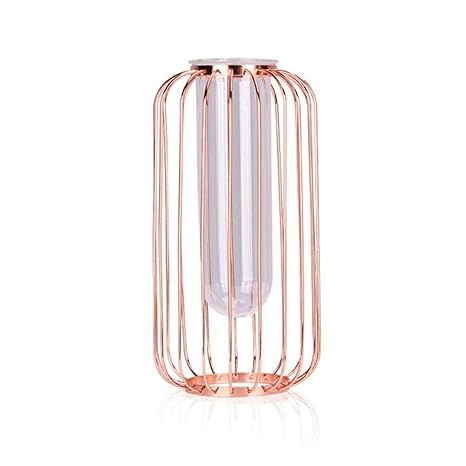 Buy Leegoal Wrought Iron Glass Holder Vase Vases For Flowers