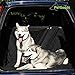 PetGoodsPro Car Dog Seat Cover – Non-Slip Waterproof Cover for All Types of Vehicles with Seat Anchors and Side Flaps – Protection from Fur and Dirt – Machine Washable