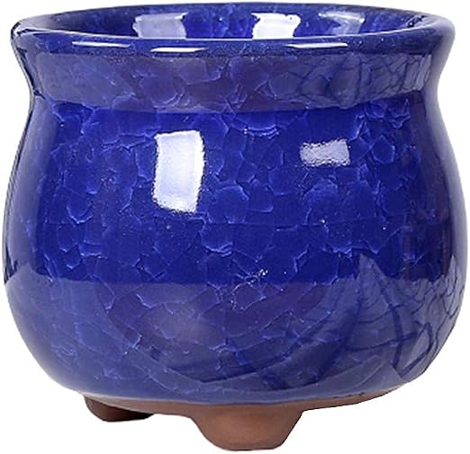 33+ Large Indoor Plant Pots Uk Background