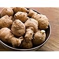 1 LB Jerusalem Artichoke Sunchoke by The Pound - Organic - AKA Sunchokes, Sunroot or Jerusalem Artichokes (1 LB)
