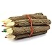 TropicaZona Branch & Twig Graphite Pencils, 10-Pack, Approximately 3.5 Inches Long, Small Size, Fits Nicely in Child's Hand