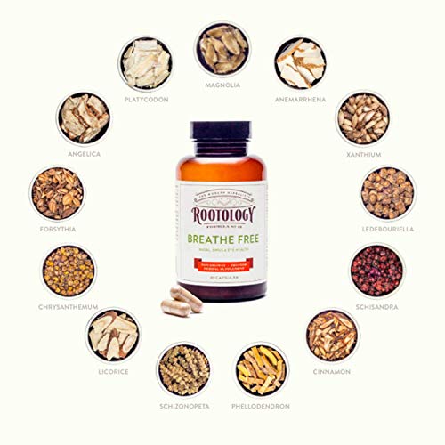 Rootology Breathe Free - Natural Nasal Sinus Relief - Fast-acting Non-drowsy - 40 Capsules Pricepulse