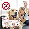 Beaphar-Fiprotec-Spot-On-Large-Dog-6-Pipettes Beaphar | FIPROtec Spot-On for Large Dogs (20–40kg) | Kills Fleas & Ticks | Vet Strength Treatment | 6 Pipettes