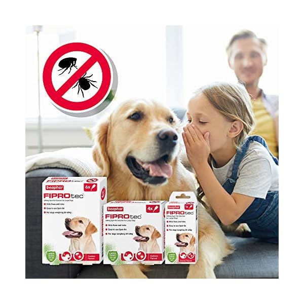 Beaphar-Fiprotec-Spot-On-Large-Dog-6-Pipettes Beaphar | FIPROtec Spot-On for Large Dogs (20–40kg) | Kills Fleas & Ticks | Vet Strength Treatment | 6 Pipettes