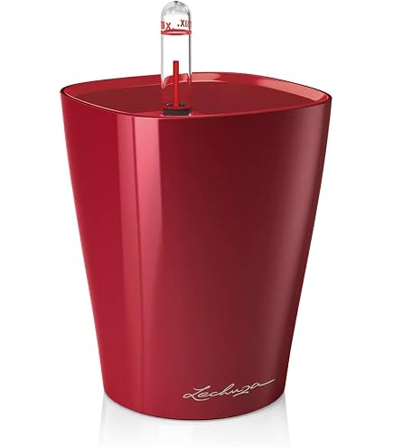 Fioriera TRENDCOVER 23 Cork ALL-IN-ONE Naturale Scuro LECHUZA Fioriera TRENDCOVER 23 Cork ALL-IN-ONE Naturale Scuro LECHUZA