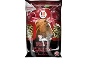 Martin Mills Special Moments Horse Treats, Apple Flavour (1 kg)