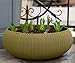 Keter Cozies Plastic Planters
