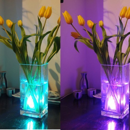 Wuudi LED Multi Color Remote Controlled Waterproof Environmental Product Eco-friendly Submersible Lights for Aquarium, Pond, Wedding, Halloween, Christmas, Party, Holiday Lighting Events