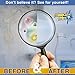 MiracleMist Instant Mold and Mildew Stain Remover for Indoor and Outdoor Use - Long Lasting Bathroom, Deck, Concrete, Vinyl, Tile Cleaner, 1 Gallon…