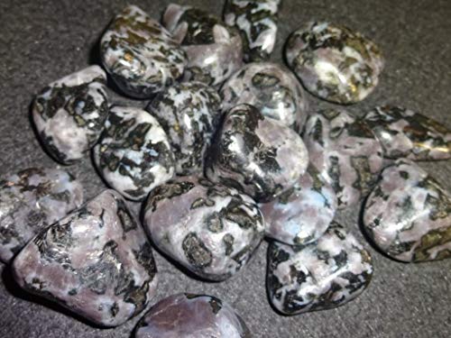 2pc Mystic Merlinite / Indigo Gabbro / Medium Tumbled & Polished / Natural Healing Crystal Gemstone Collectible , Display or Wrapping Specimen Stones