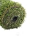 GOLDEN MOON Realistic Artificial Grass Mat 3-Tone Thick Outdoor Turf Rug 1in(25mm) Blade Height Series Green 2'x 5'(10sq ft)