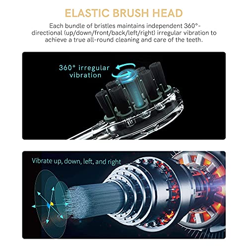 Electric Toothbrush, Sonic Rotation for Adults with 4 Brush Heads with Dupont Bristles, 1 Travel Case, 1 Dental Floss, 2 Minute Timer, Wireless Rechargeable Battery 1000mAh Lasts for 30 Days, Gray U1B