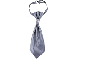 Lovacely Mens Pre-tied Paisley Cravat Ascot Tie Wedding Cravat Double Satin Casual Paisley Ascot Neck Tie